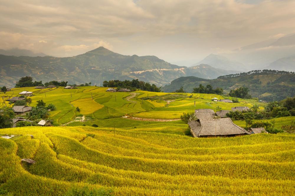 Farm fields