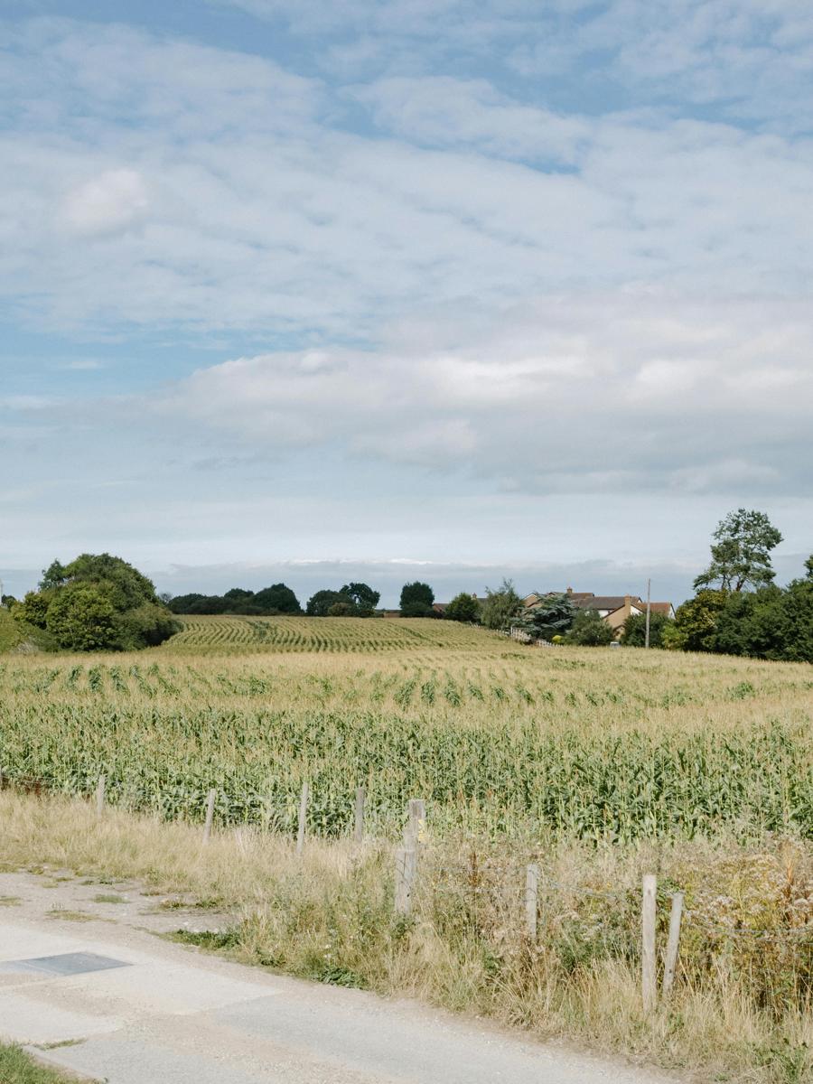 Farm fields